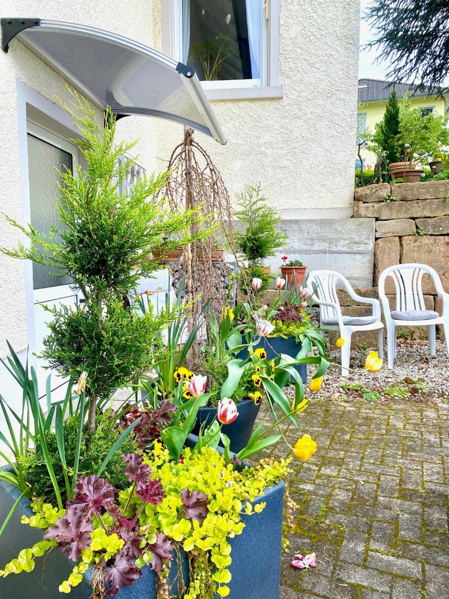 מלון באדנוויילר Haus Marija M חדר תמונה